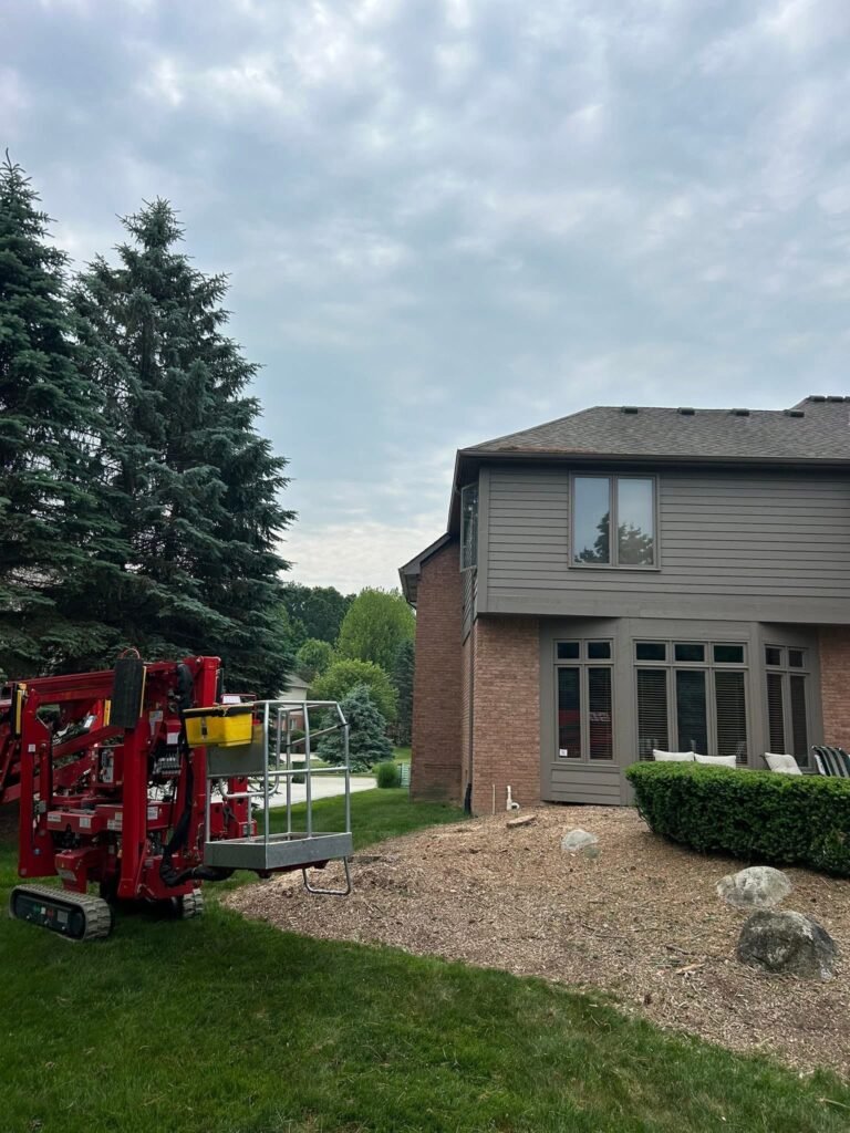Tree Service 3