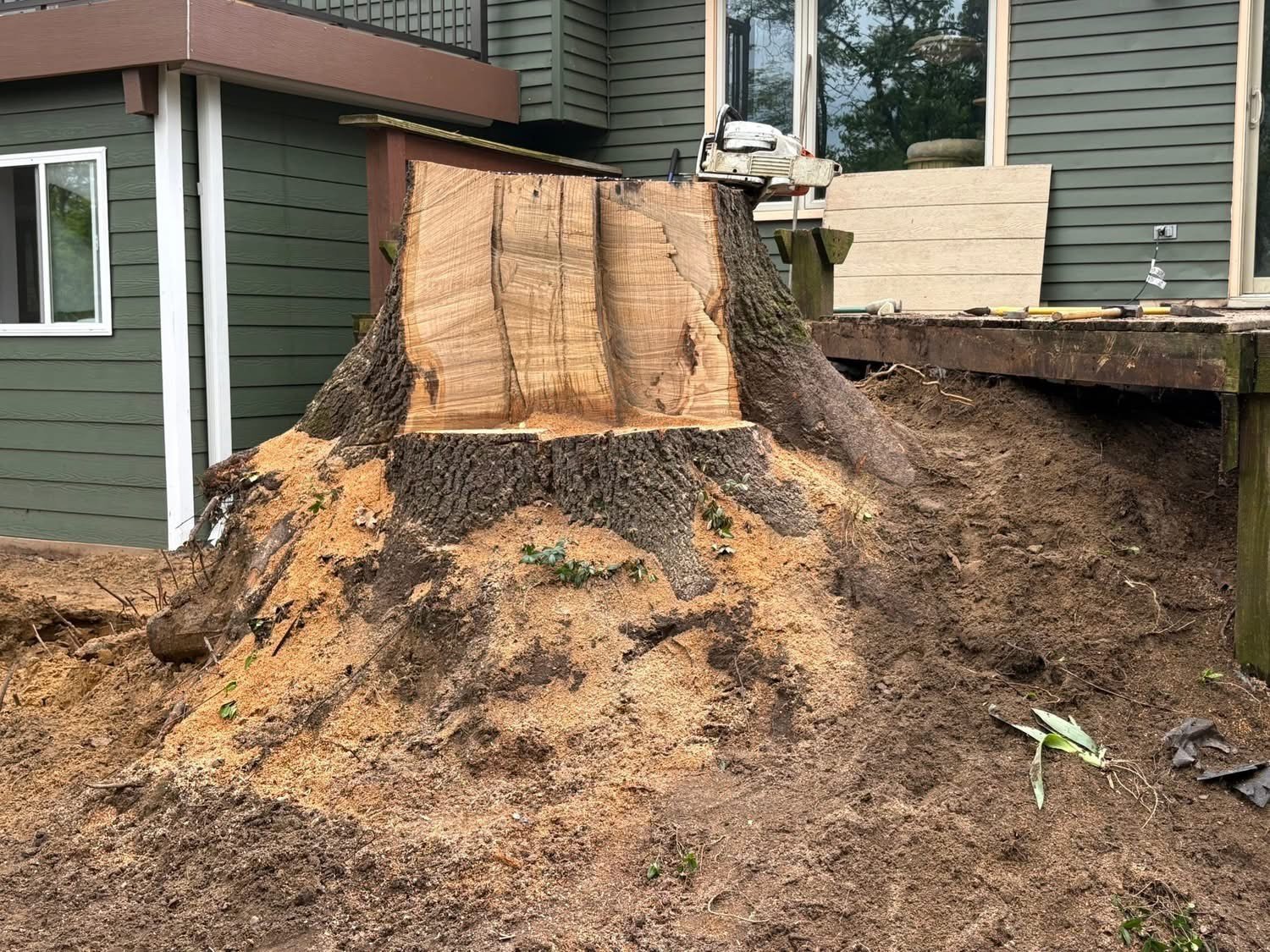Stump grinding in Greenville NC backyard