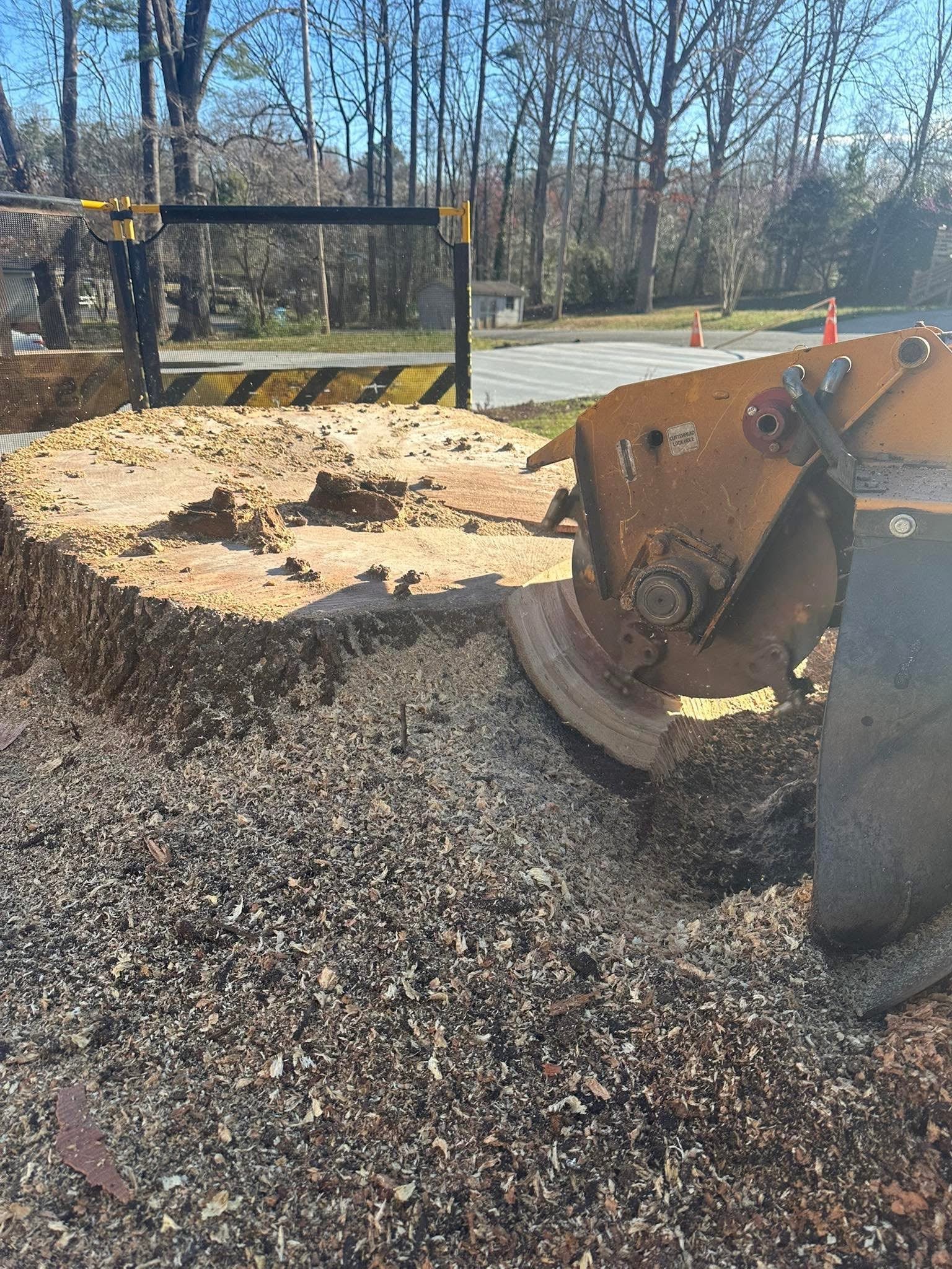 Tree stump removal with grinder machine