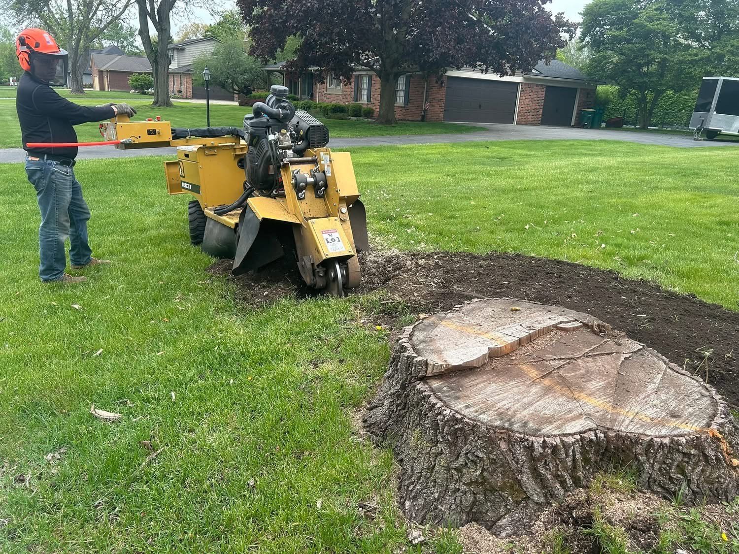 stump grinding 3