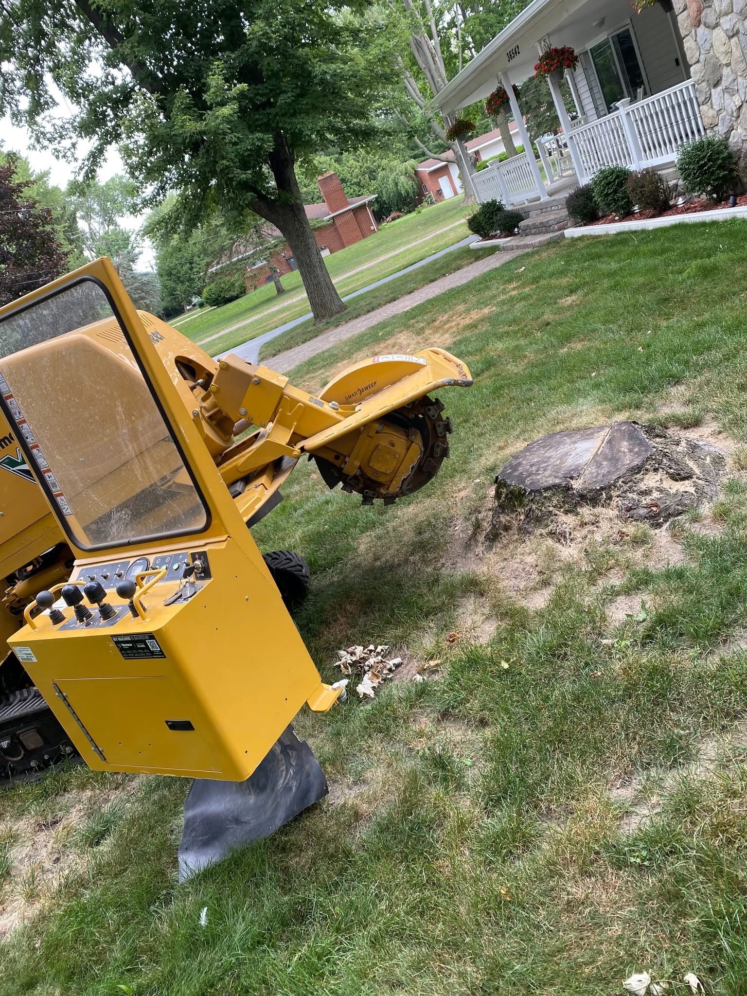 stump grinding