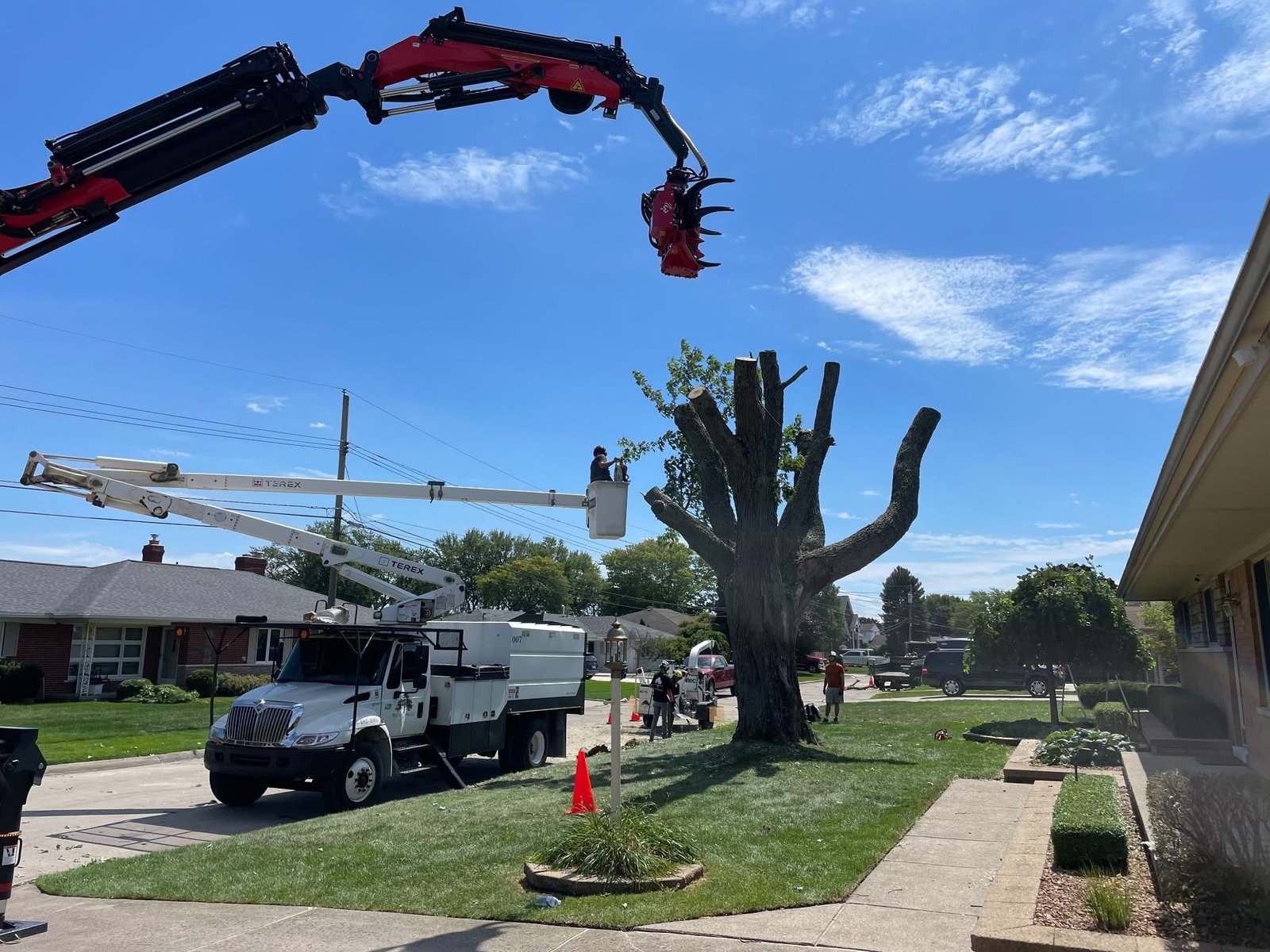 Professional tree removal crew with bucket truck